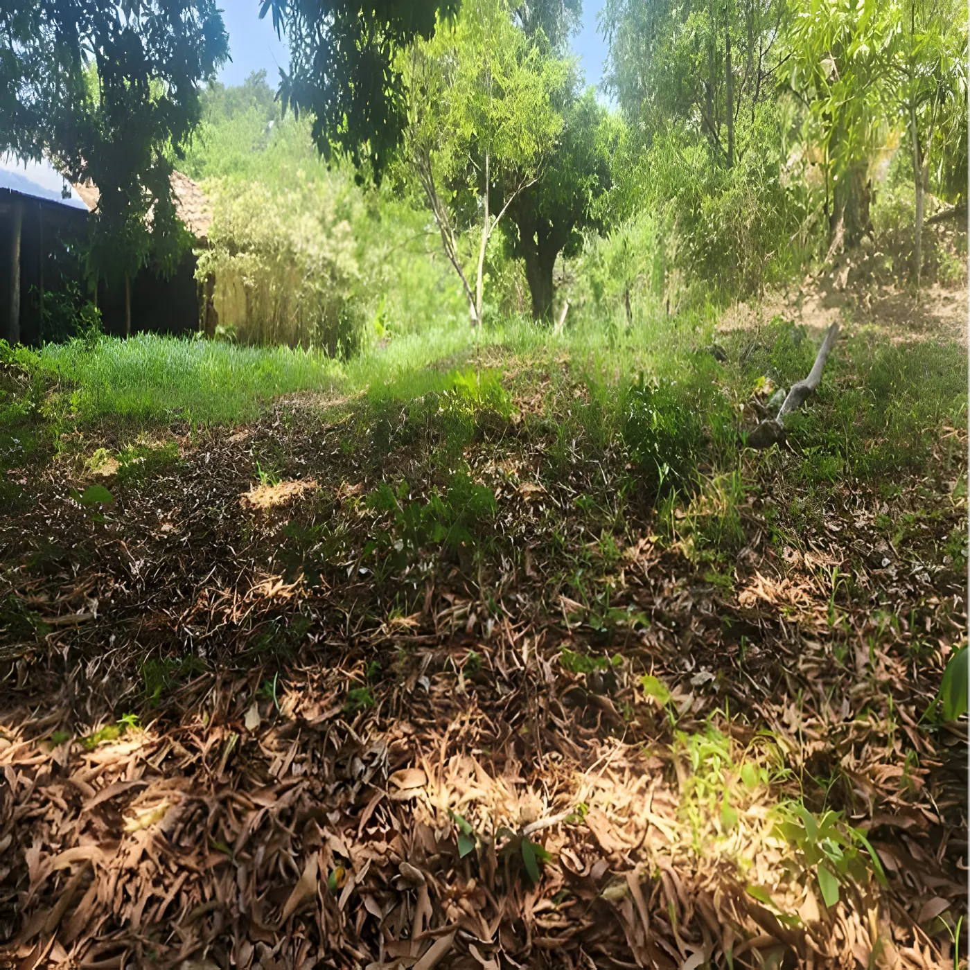 Venta finca rural ahuachapan 10