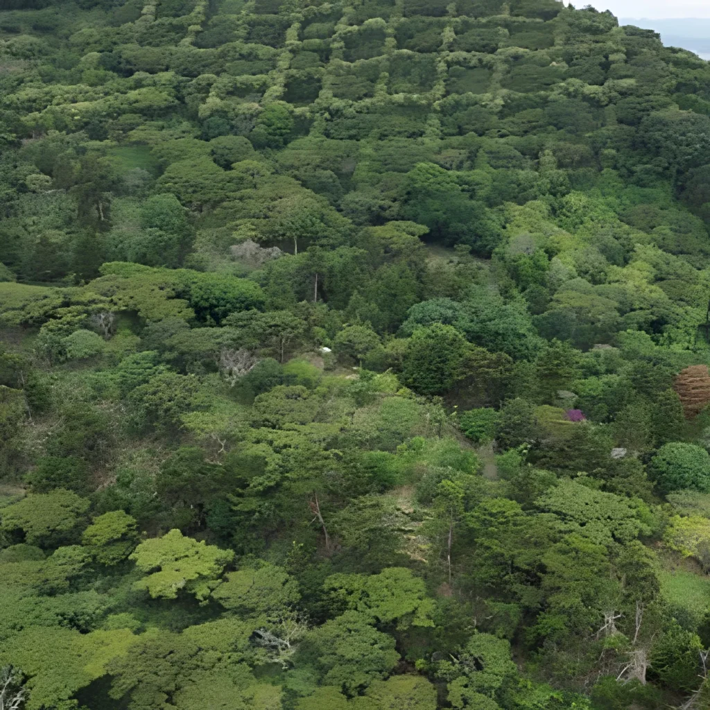 Venta finca rural ahuachapan 11