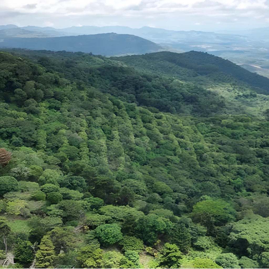 Venta finca rural ahuachapan 15