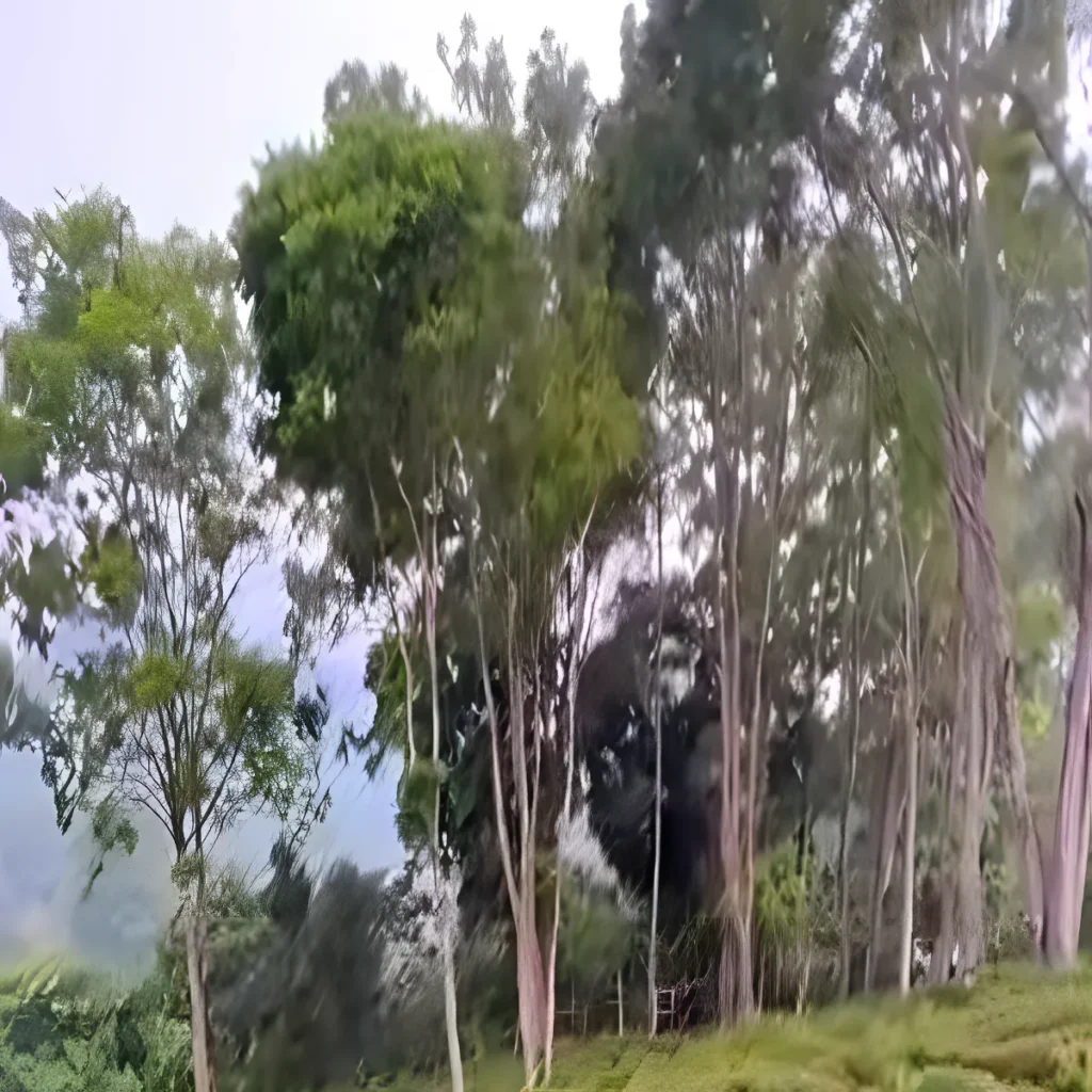 Venta finca rural caluco 11