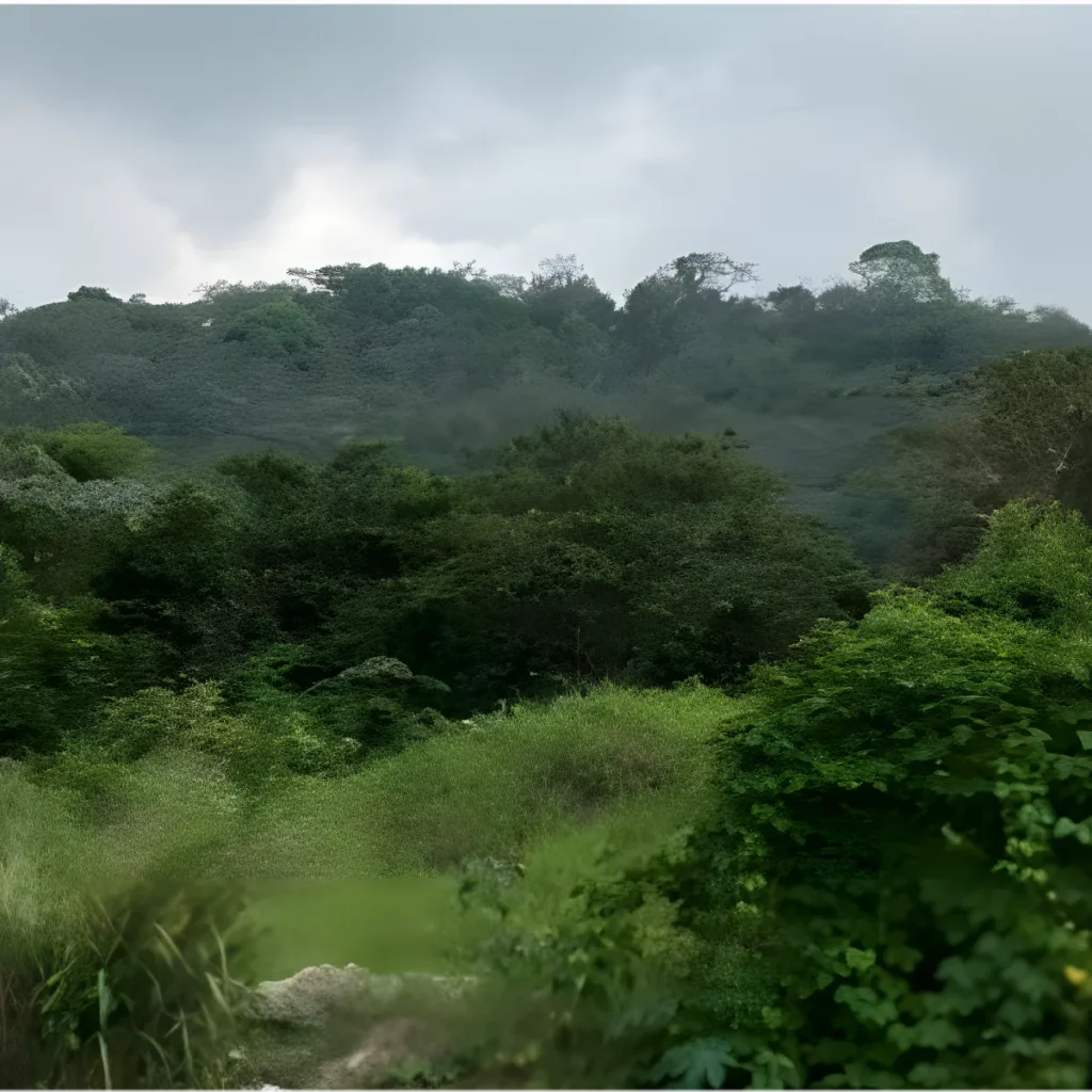 Venta finca rural caluco 14