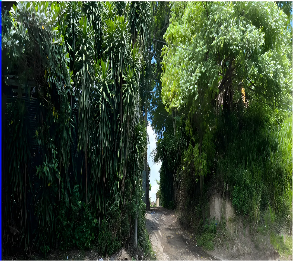 Venta finca rural caluco 15